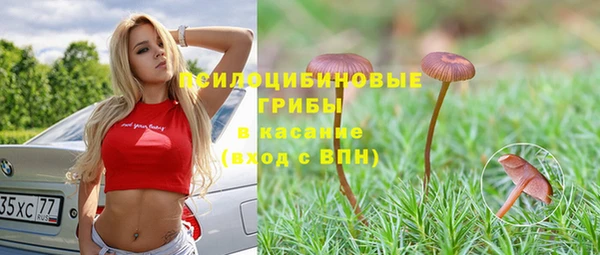 герыч Арсеньев