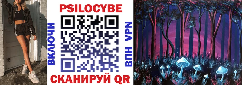 Галлюциногенные грибы Psilocybe  как найти   Сердобск 